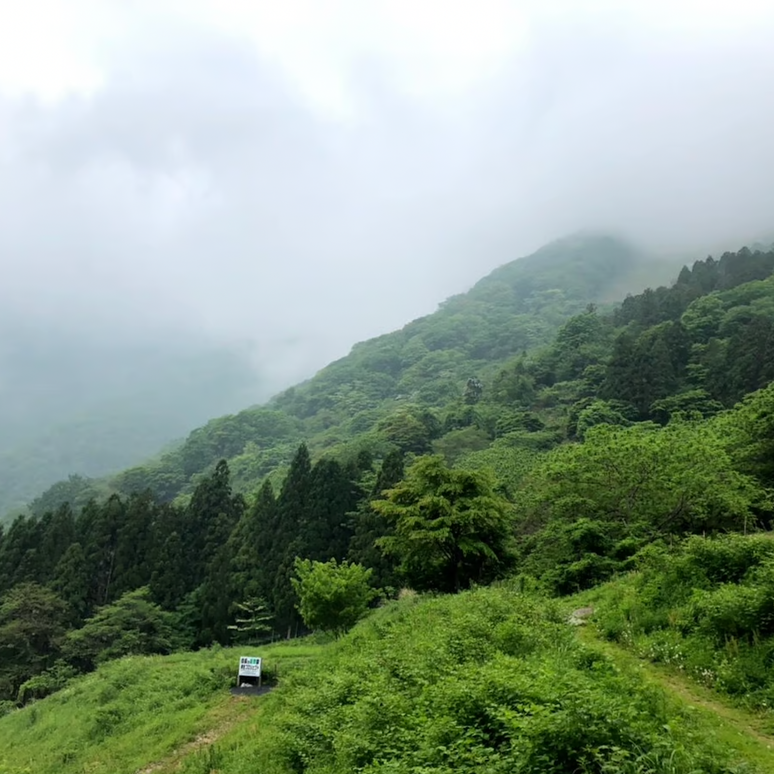 伊吹山